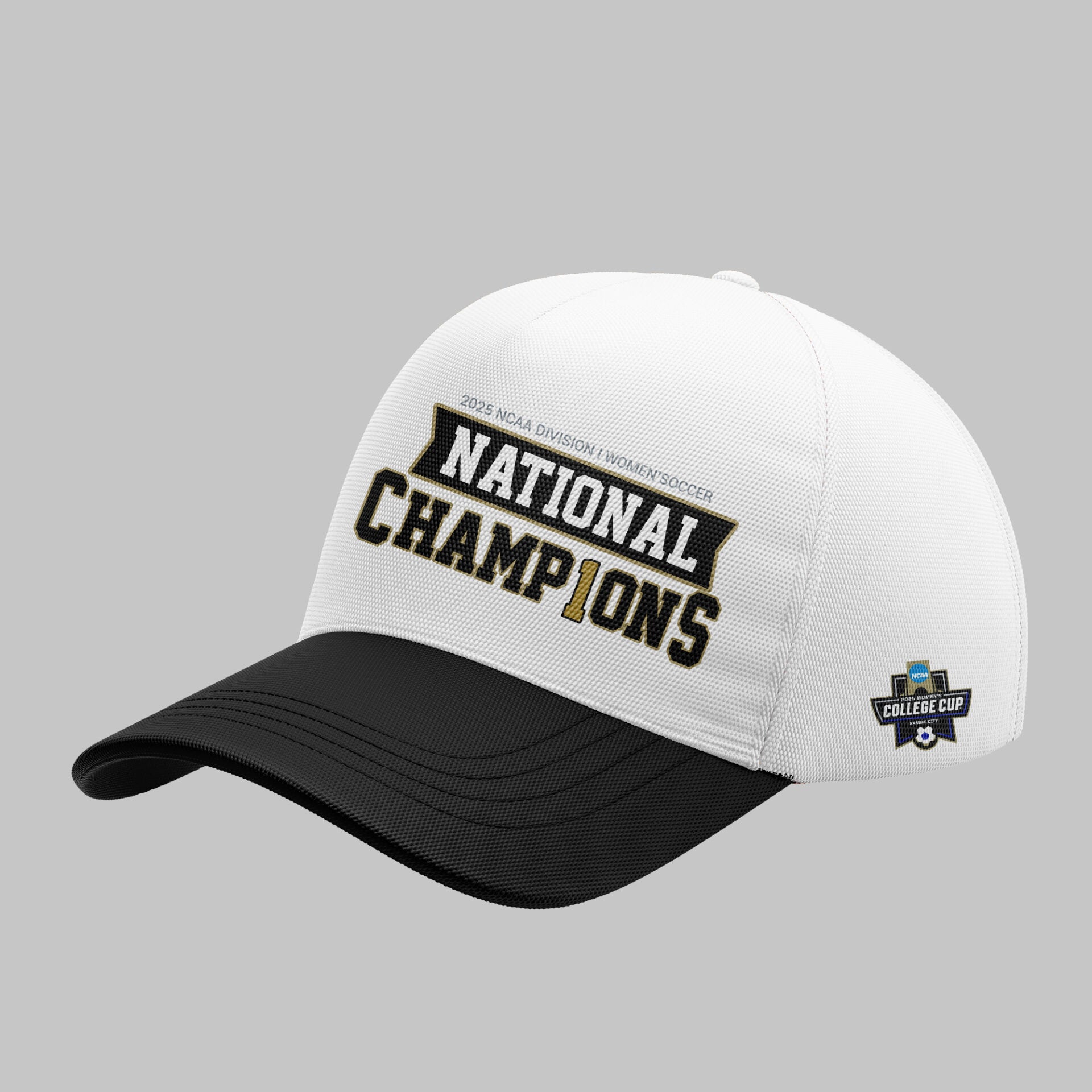 Limited Edition 2025 National Champions Hoodie-ND12092525