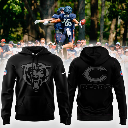Chicago Bears 2025 New Pullover Hoodie